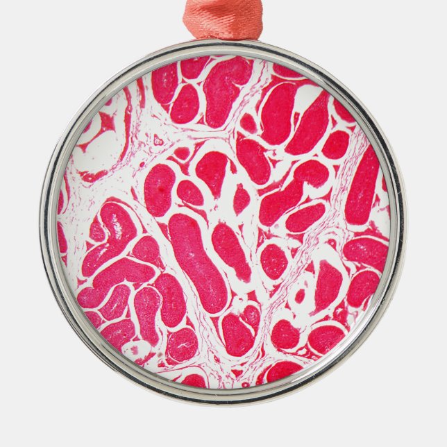 Ornement Métallique Cellules de testicule sous le microscope (Devant)