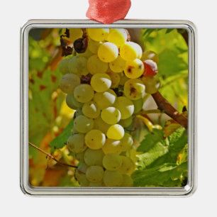 Ornement Métallique Certains Chasselas dans le vignoble - plantés il y