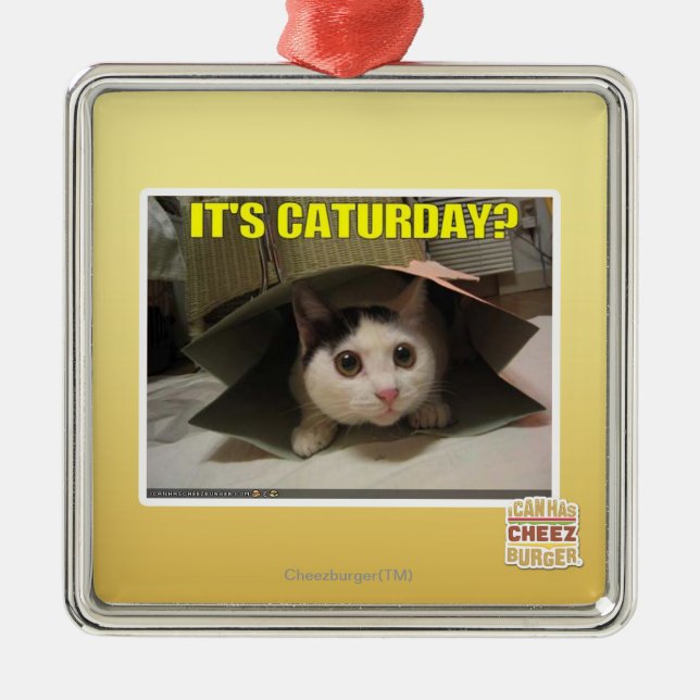 Ornement Métallique C'est Caturday ? (Devant)