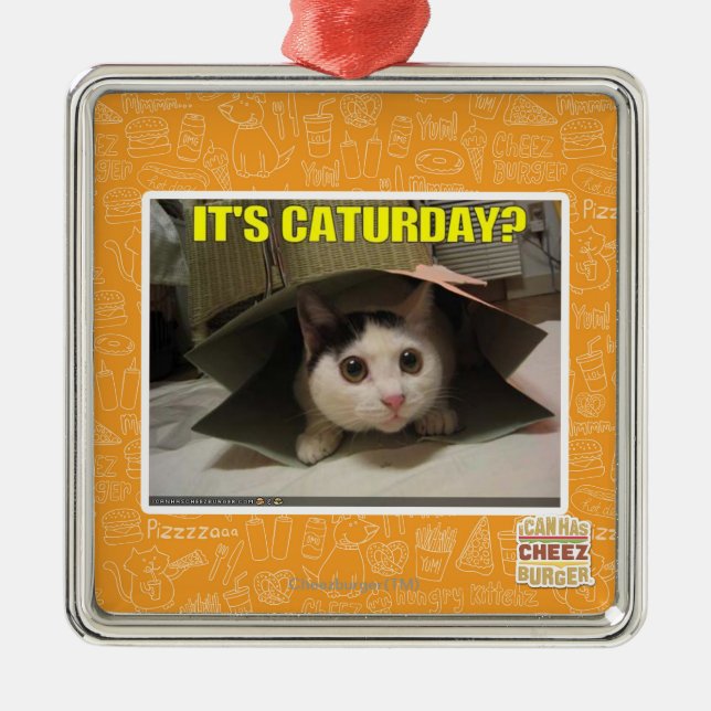 Ornement Métallique C'est Caturday ? (Devant)