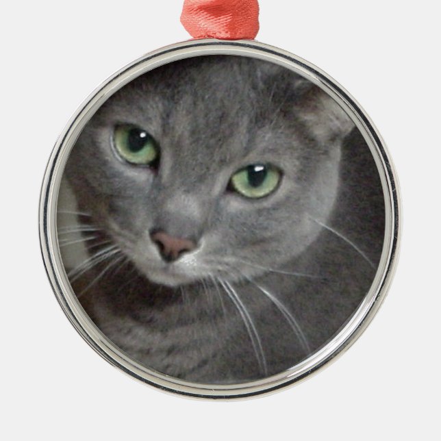Ornement Métallique Chat bleu russe (Devant)