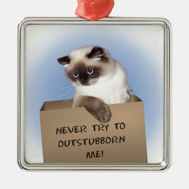 Ornement Métallique Chat dans la boîte (Devant)
