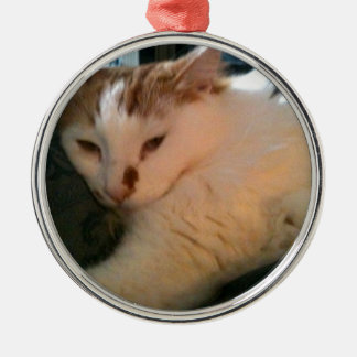 Ornement Métallique Chat paresseux et Relaxed