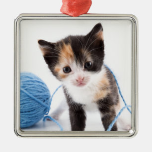 Ornement Métallique Chaton mignon de calypso et fil bleu
