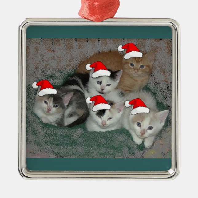 Ornement Métallique chatons de Noël (Devant)