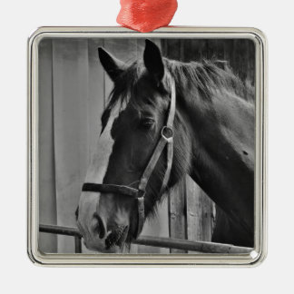 Ornement Métallique Cheval blanc noir - Art de la photographie animale