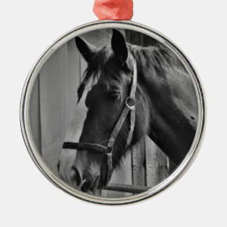 Ornement Métallique Cheval blanc noir - Art de la photographie animale