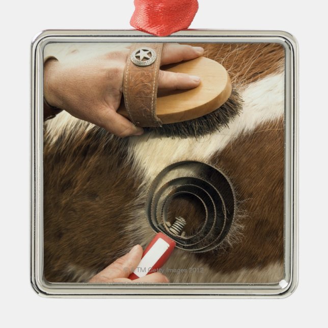 Ornement Métallique Cheval de toilettage (Devant)