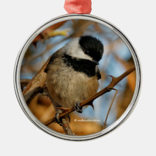 Ornement Métallique Chickadee Songbird, Joli Espérant