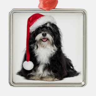 Ornement Métallique Chien drôle de Havanese de Noël avec le casquett
