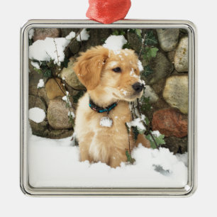 Ornement Métallique Chiens de neige