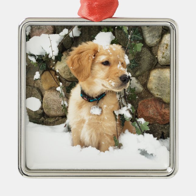 Ornement Métallique Chiens de neige (Devant)