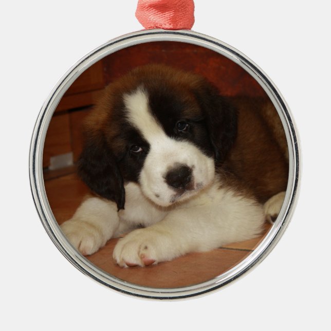 Ornement Métallique Chiot adorable et doux de St Bernard (Devant)