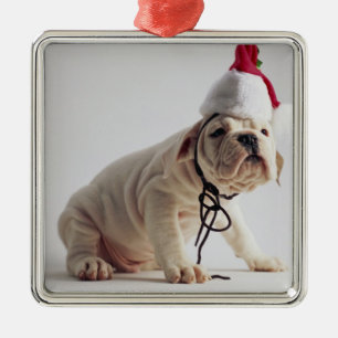 Ornement Métallique Chiot de bouledogue utilisant le casquette de Pèr