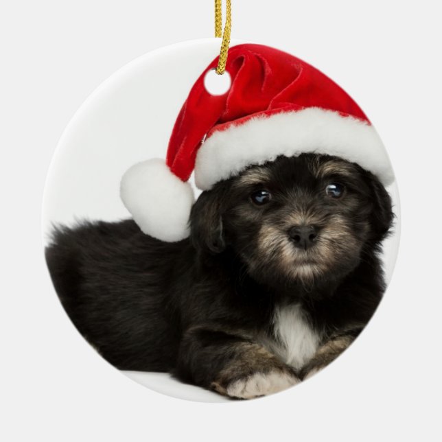 Ornement Métallique Chiot mignon de Havanese de Noël (Devant)