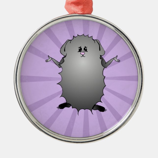 Ornement Métallique Cobaye abyssinien comique (Devant)