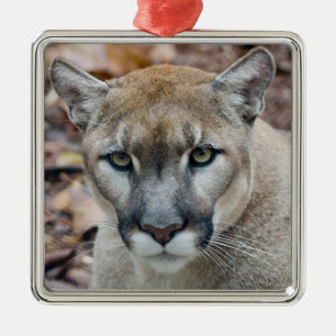 Ornement Métallique Couguar, lion de montagne, panthère de Floride, Pu