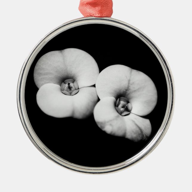 Ornement Métallique couronne d'épines (Devant)