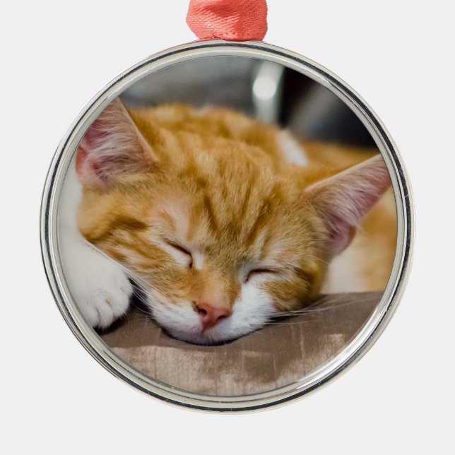 Ornement Métallique Cute Kitten (Devant)