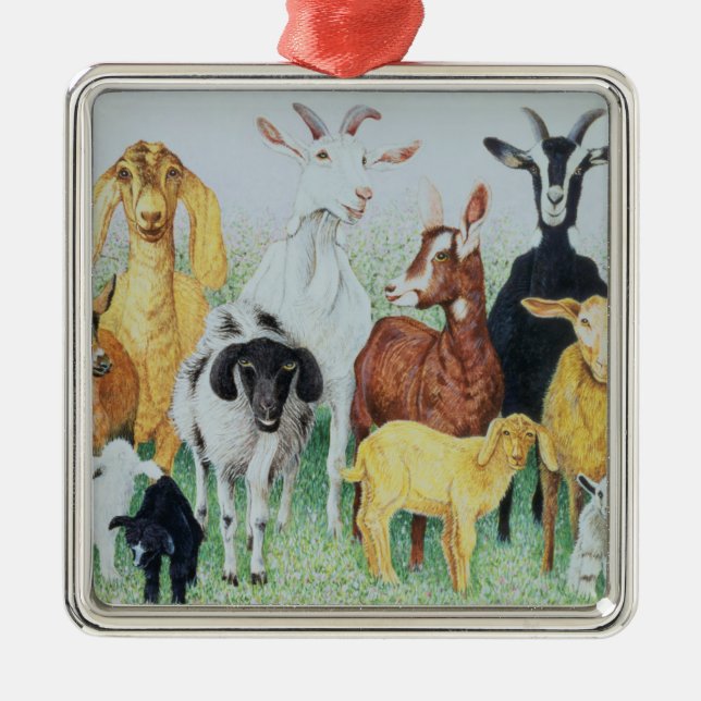 Ornement Métallique Dans le trèfle (Devant)