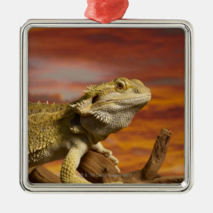 Ornement Métallique Dragon barbu (Pogona Vitticeps) sur la branche,