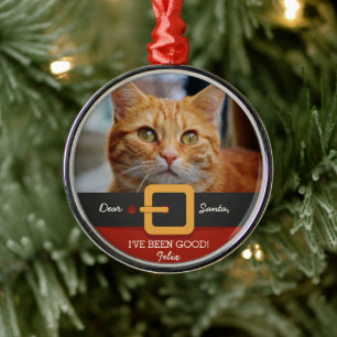 Ornement Métallique Drôle Noël Père Noël Chat Photo et Nom Personnalis