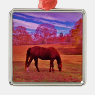 ORNEMENT MÉTALLIQUE DSCF0536.JPG