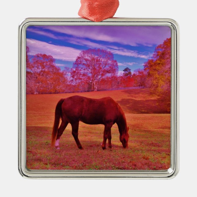 ORNEMENT MÉTALLIQUE DSCF0536.JPG (Devant)