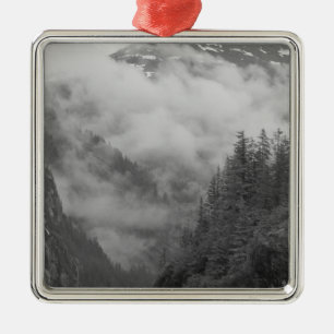 Ornement Métallique É.-U., Alaska, Juneau, la forêt tropicale couvre l