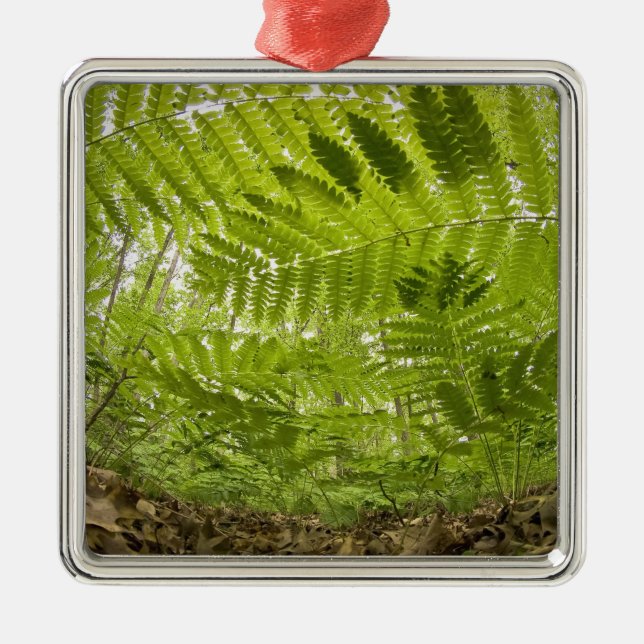 Ornement Métallique États-Unis, Inde, North Shore Lake Superior, (Devant)