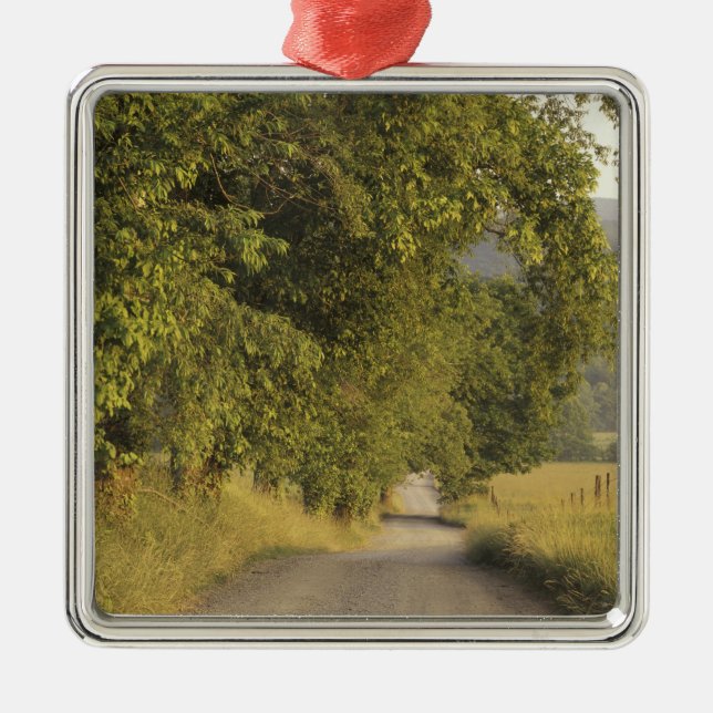 Ornement Métallique États-Unis, Tennessee, Great Smoky Mountains Natio (Devant)