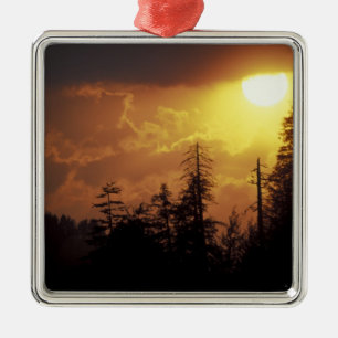 Ornement Métallique États-Unis, Tennessee, Great Smoky Mountains NP.2