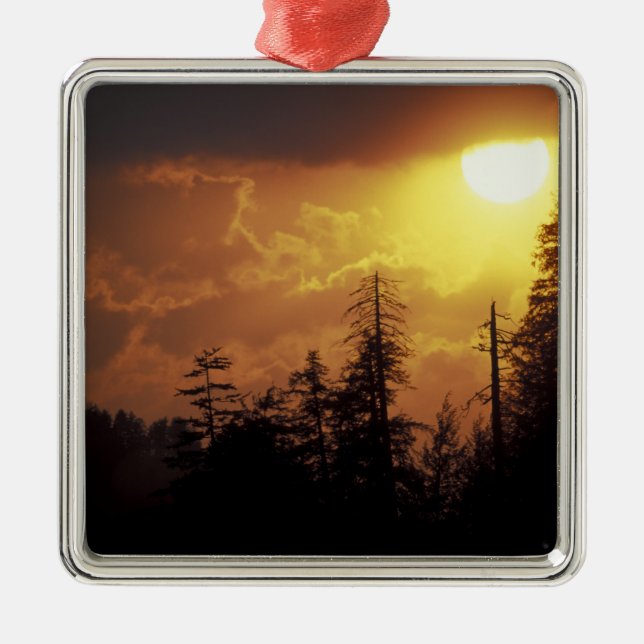 Ornement Métallique États-Unis, Tennessee, Great Smoky Mountains NP.2 (Devant)