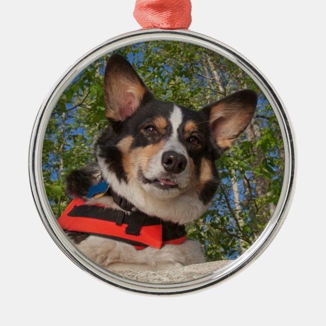 Ornement Métallique Faire une pause (Devant)