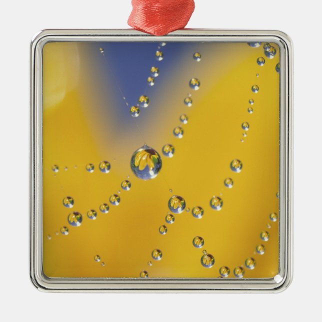 Ornement Métallique Fermeture de la toile d'araignée avec des gouttes  (Devant)