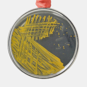 Ornement Métallique Filet d'isolement des bactéries