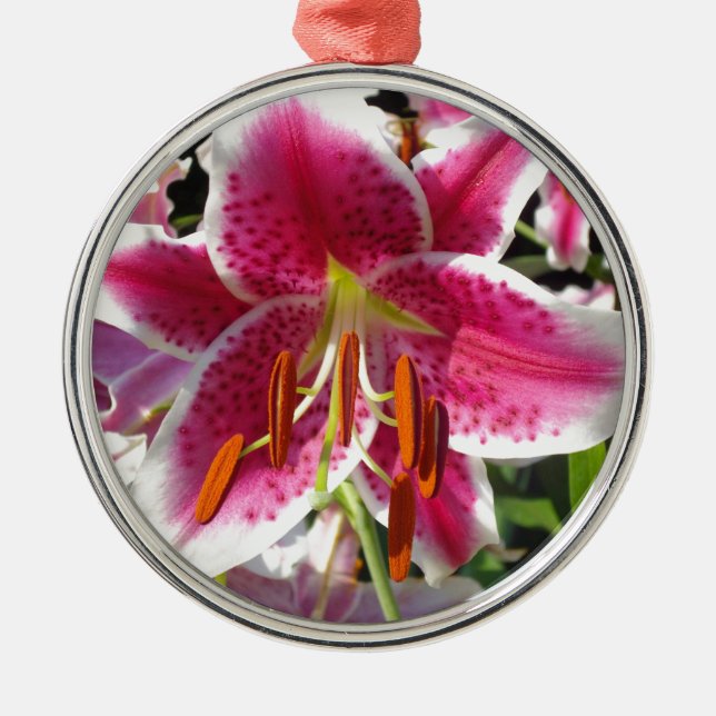 Ornement Métallique Fleur rose rose rose rose fleur rose fleur tropica (Devant)