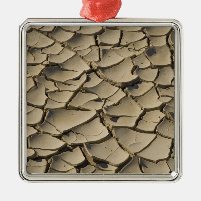 Ornement Métallique Formation de boue craquée dans le plancher de la v (Devant)