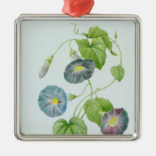 Ornement Métallique Gloire de matin