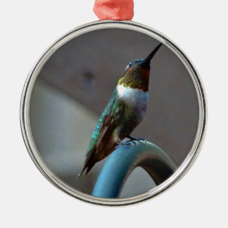 Ornement Métallique Green ruby little hummingbird