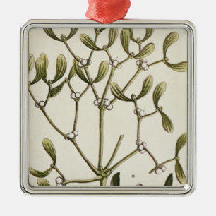 Ornement Métallique Gui "d'un de fines herbes curieux", 1782