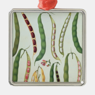Ornement Métallique Haricots