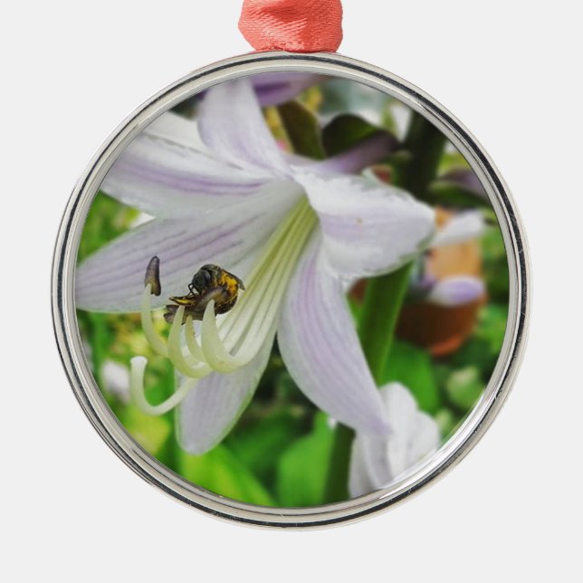 Ornement Métallique Hosta and an insect (Devant)