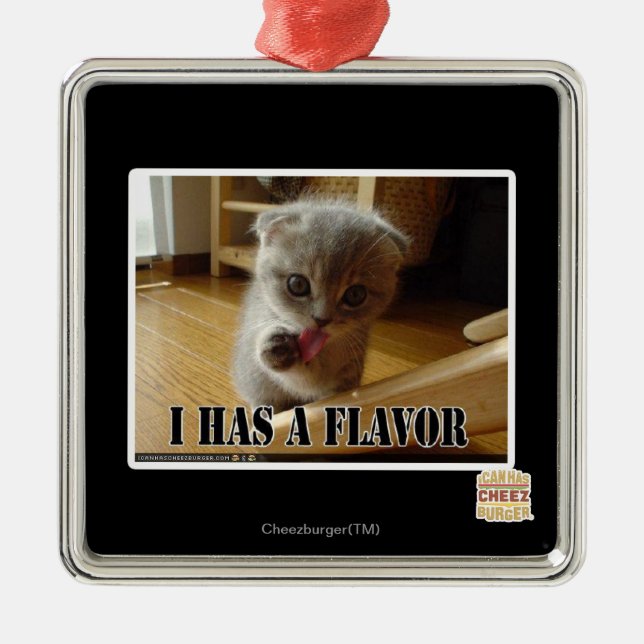 Ornement Métallique I a une saveur (Devant)