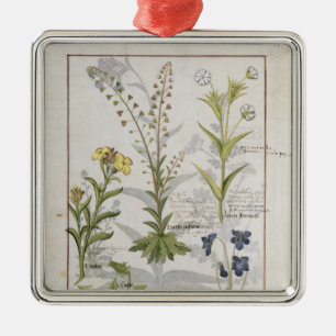 Ornement Métallique Illustration du "livre des médecines simples" 2