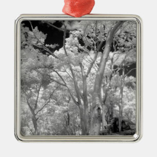 Ornement Métallique Infra rouge d'arbres bâtiments et sentiers de Las