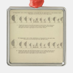 Ornement Métallique Insensé, statistique US Lithograph 1870