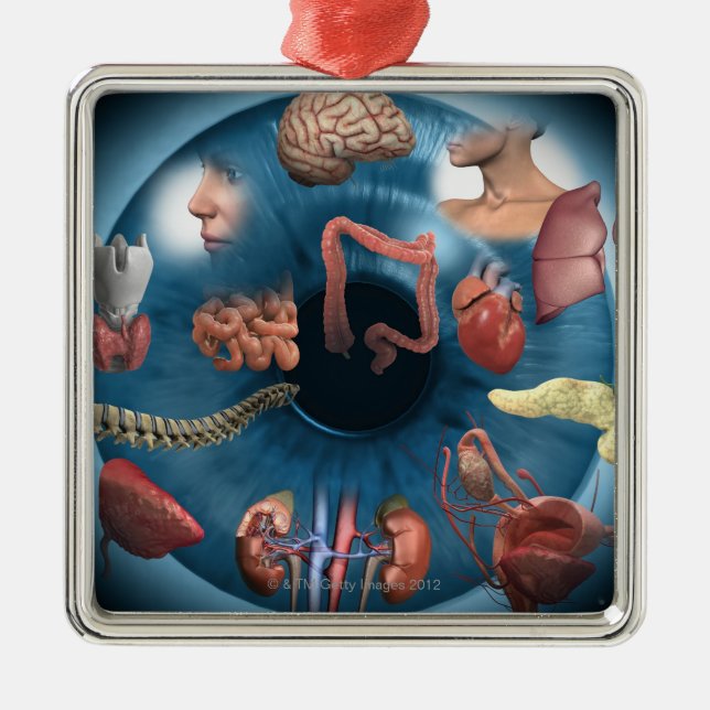 Ornement Métallique Iridology (Devant)