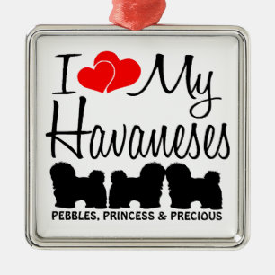 Ornement Métallique J'Aime Mes Trois Havanais