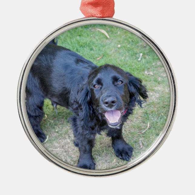 Ornement Métallique Joli chiot noir (Devant)